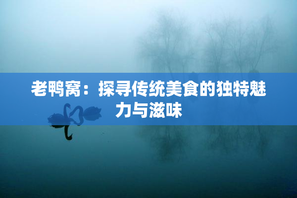 老鸭窝：探寻传统美食的独特魅力与滋味