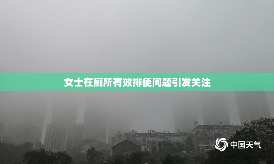 女士在厕所有效排便问题引发关注
