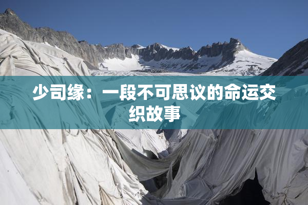 少司缘：一段不可思议的命运交织故事