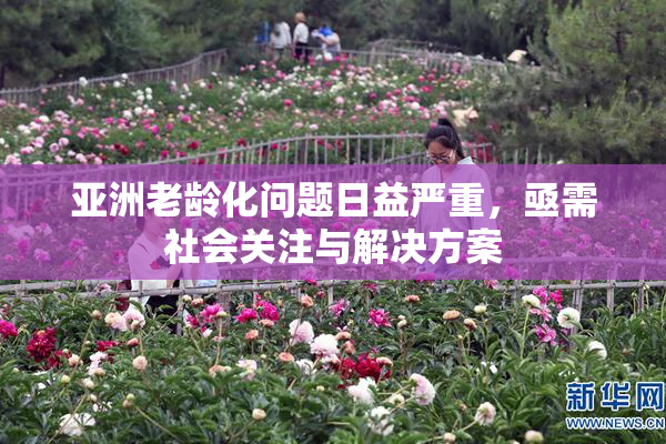 亚洲老龄化问题日益严重，亟需社会关注与解决方案