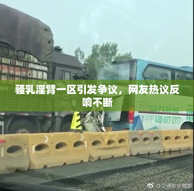 骚乳淫臂一区引发争议，网友热议反响不断