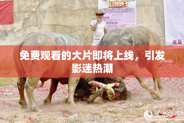 免费观看的大片即将上线，引发影迷热潮