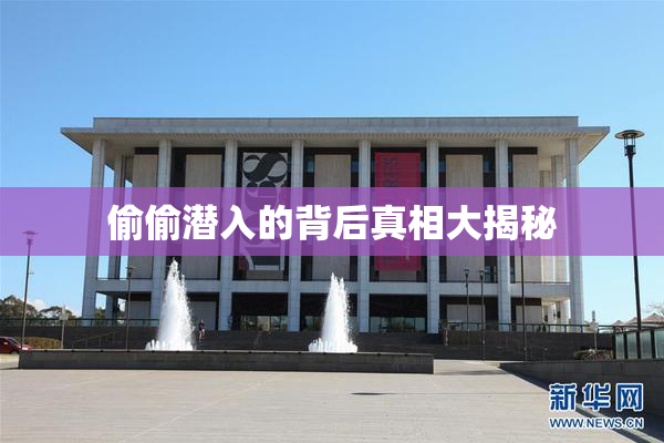 偷偷潜入的背后真相大揭秘