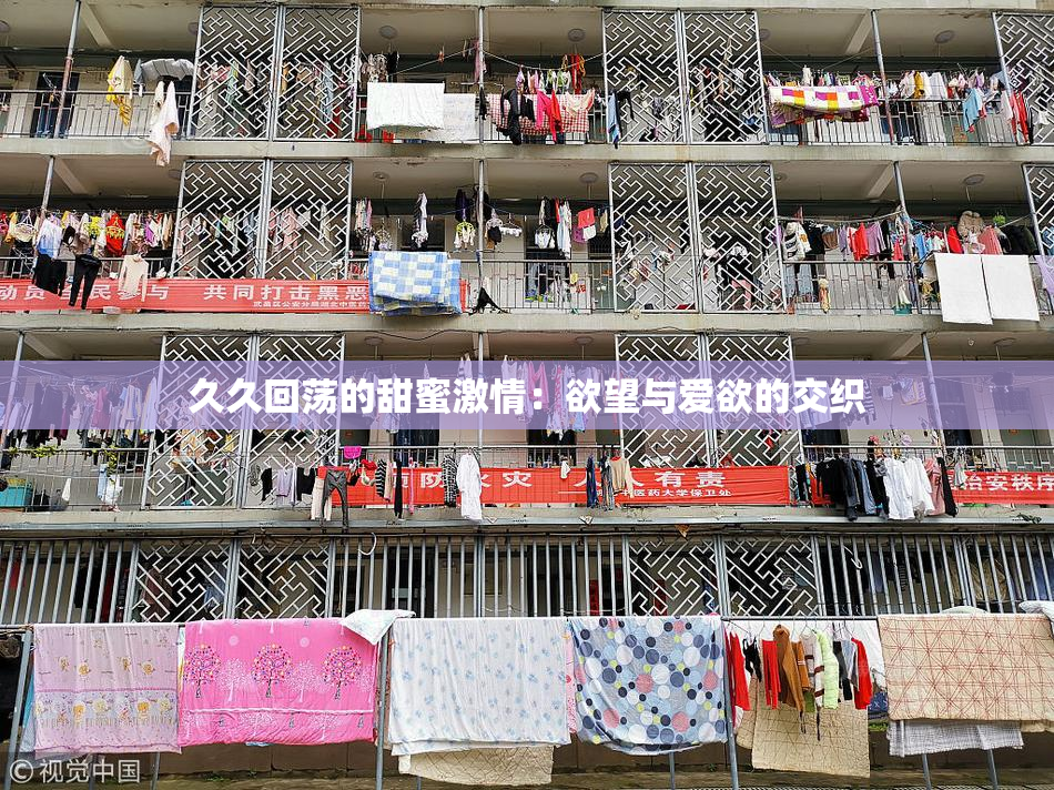 久久回荡的甜蜜激情：欲望与爱欲的交织
