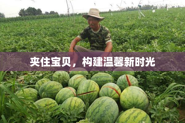 夹住宝贝，构建温馨新时光
