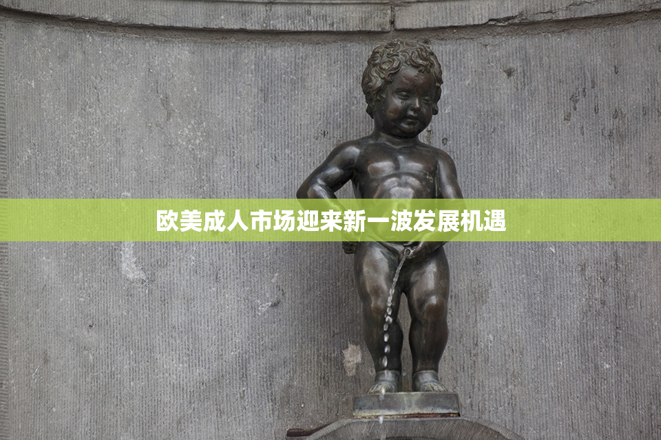 欧美成人市场迎来新一波发展机遇
