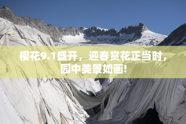 樱花9.1盛开，迎春赏花正当时，园中美景如画!