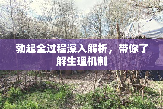 勃起全过程深入解析，带你了解生理机制