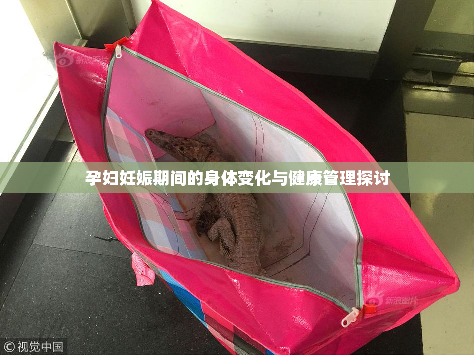 孕妇妊娠期间的身体变化与健康管理探讨