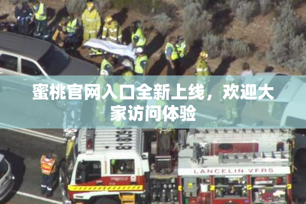 蜜桃官网入口全新上线，欢迎大家访问体验