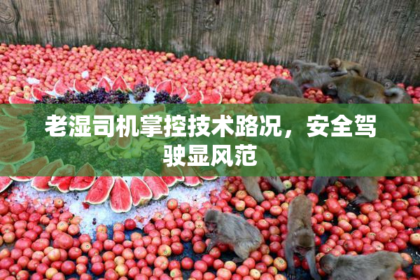 老湿司机掌控技术路况，安全驾驶显风范
