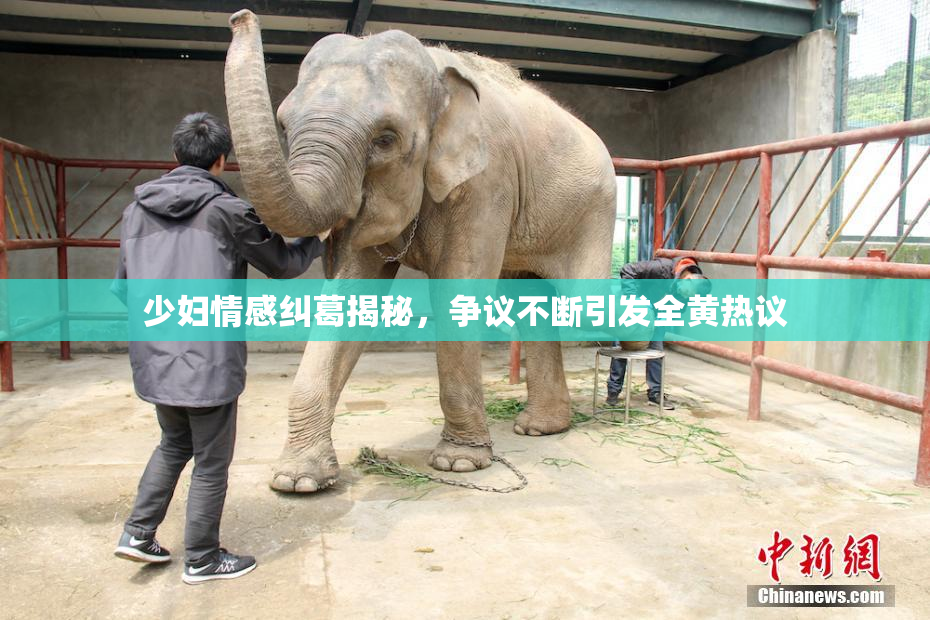 少妇情感纠葛揭秘，争议不断引发全黄热议