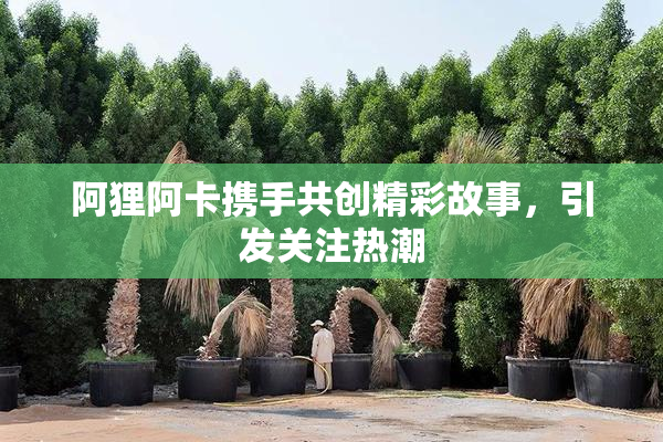 阿狸阿卡携手共创精彩故事，引发关注热潮