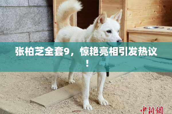 张柏芝全套9，惊艳亮相引发热议！