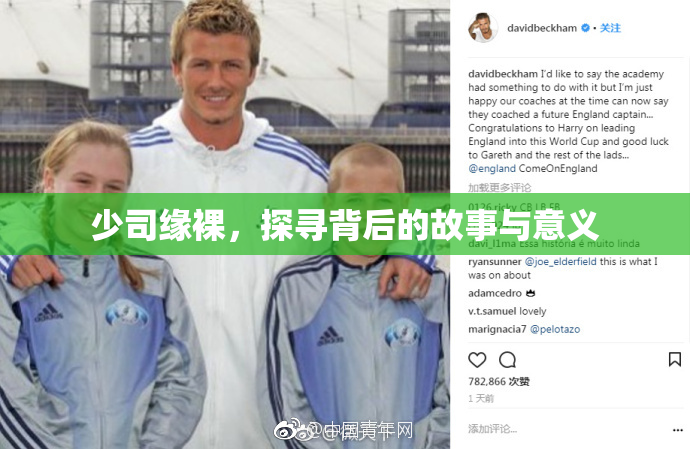 少司缘裸，探寻背后的故事与意义