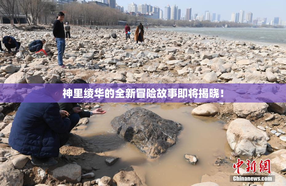 神里绫华的全新冒险故事即将揭晓！