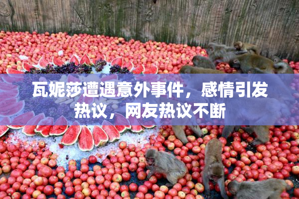 瓦妮莎遭遇意外事件，感情引发热议，网友热议不断