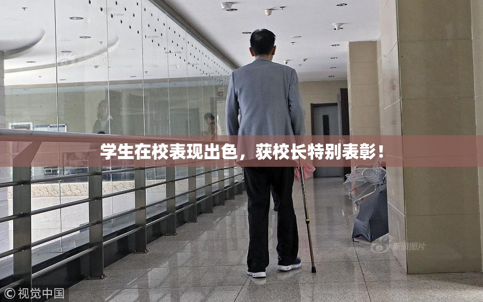 学生在校表现出色，获校长特别表彰！