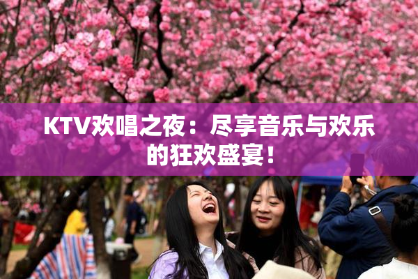 KTV欢唱之夜：尽享音乐与欢乐的狂欢盛宴！