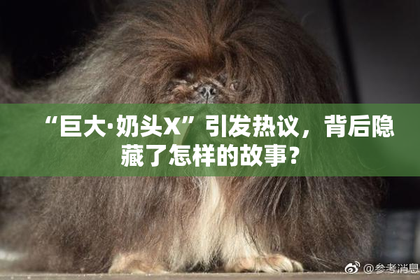 “巨大·奶头X”引发热议，背后隐藏了怎样的故事？