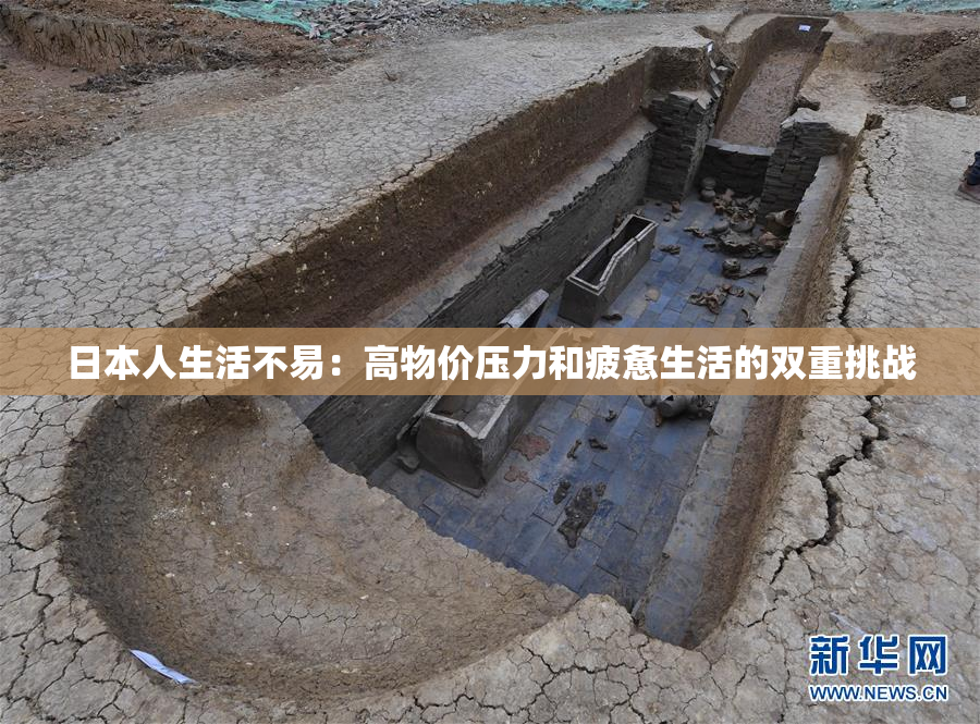 日本人生活不易：高物价压力和疲惫生活的双重挑战