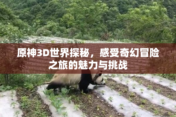 原神3D世界探秘，感受奇幻冒险之旅的魅力与挑战