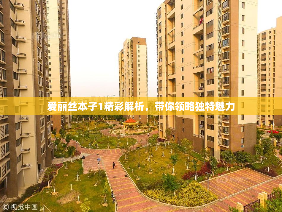 爱丽丝本子1精彩解析，带你领略独特魅力