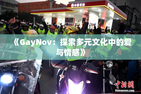 《GayNov：探索多元文化中的爱与情感》