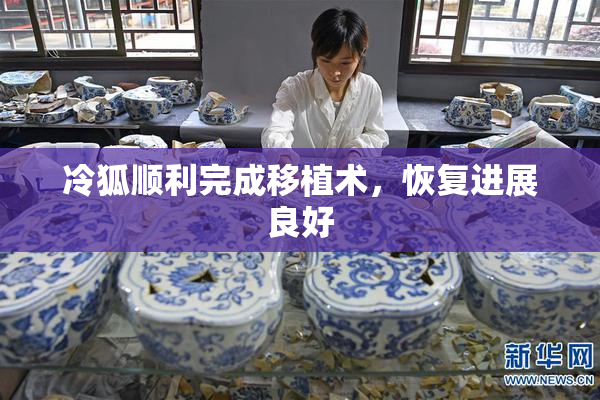 冷狐顺利完成移植术，恢复进展良好