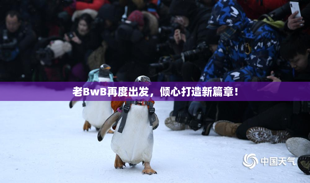 老BwB再度出发，倾心打造新篇章！