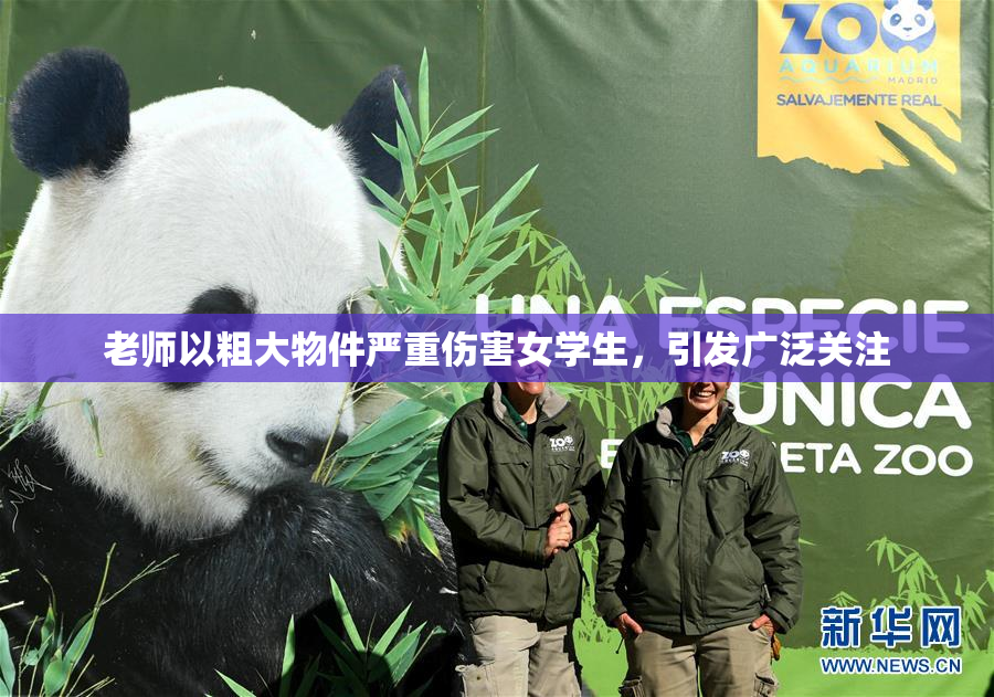 老师以粗大物件严重伤害女学生，引发广泛关注