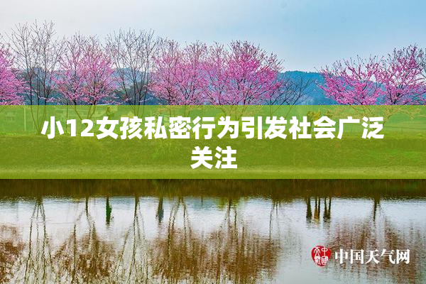 小12女孩私密行为引发社会广泛关注