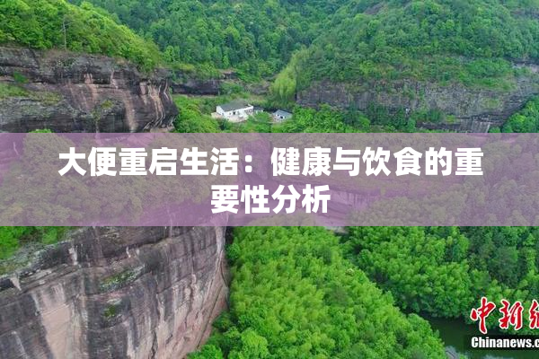 大便重启生活：健康与饮食的重要性分析