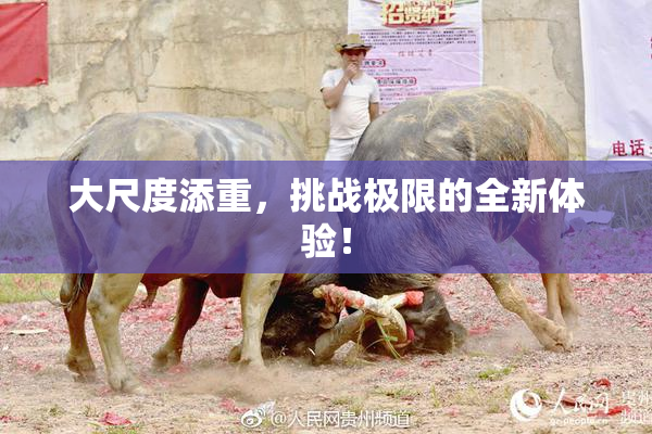 大尺度添重，挑战极限的全新体验！