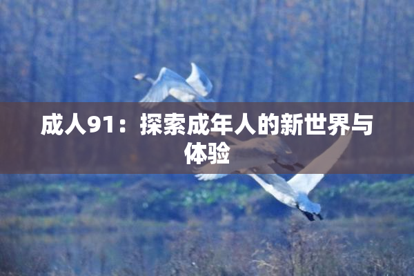成人91：探索成年人的新世界与体验