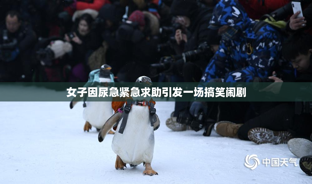 女子因尿急紧急求助引发一场搞笑闹剧