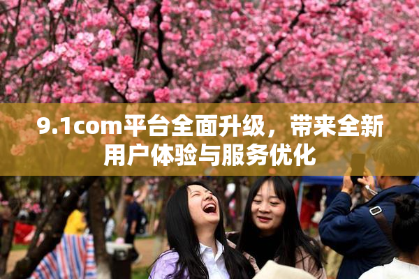 9.1com平台全面升级，带来全新用户体验与服务优化