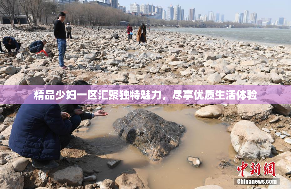 精品少妇一区汇聚独特魅力，尽享优质生活体验
