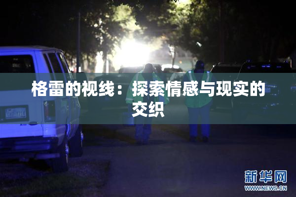 格雷的视线：探索情感与现实的交织
