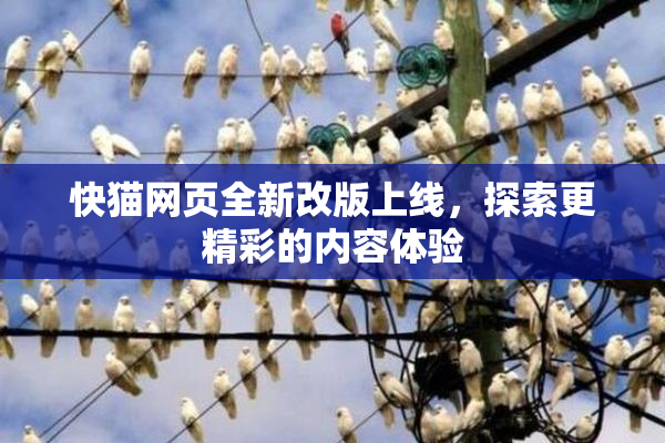 快猫网页全新改版上线，探索更精彩的内容体验