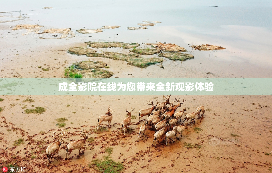 成全影院在线为您带来全新观影体验