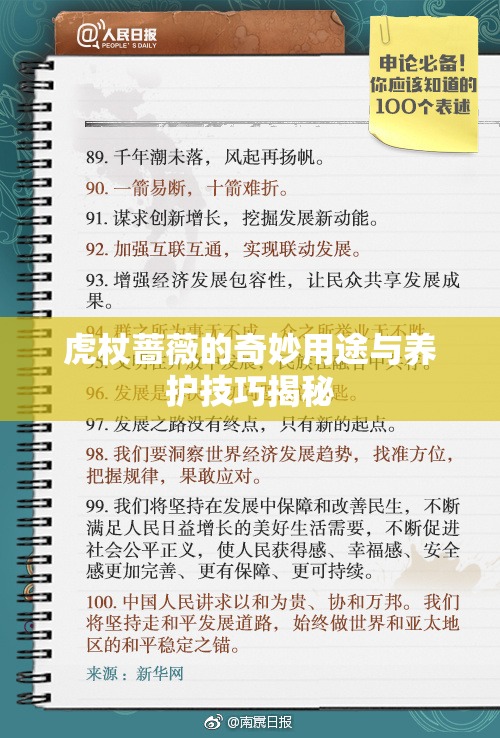 虎杖蔷薇的奇妙用途与养护技巧揭秘