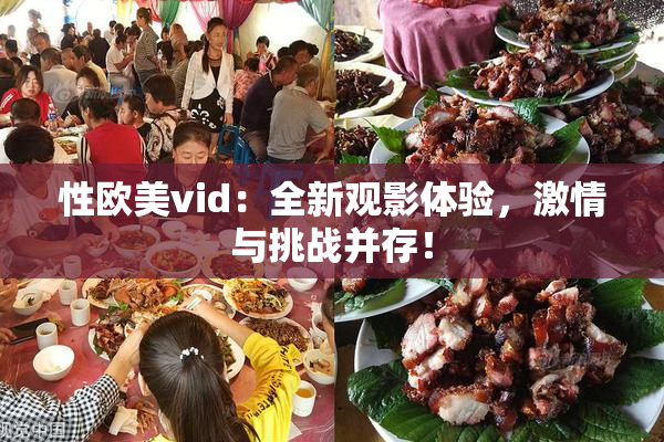 性欧美vid：全新观影体验，激情与挑战并存！