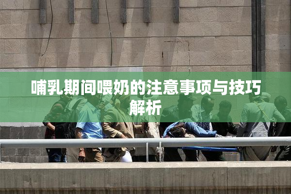 哺乳期间喂奶的注意事项与技巧解析