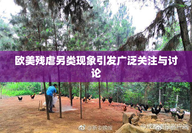 欧美残虐另类现象引发广泛关注与讨论