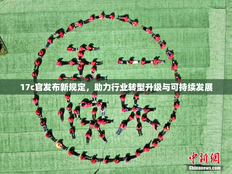 17c官发布新规定，助力行业转型升级与可持续发展