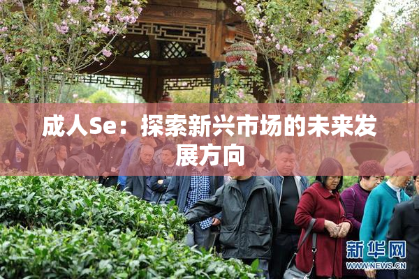 成人Se：探索新兴市场的未来发展方向