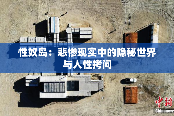 性奴岛：悲惨现实中的隐秘世界与人性拷问