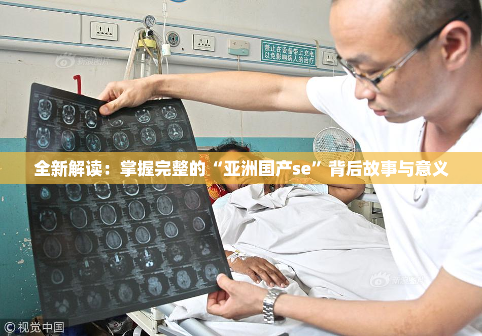 全新解读：掌握完整的“亚洲国产se”背后故事与意义