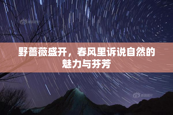 野蔷薇盛开，春风里诉说自然的魅力与芬芳